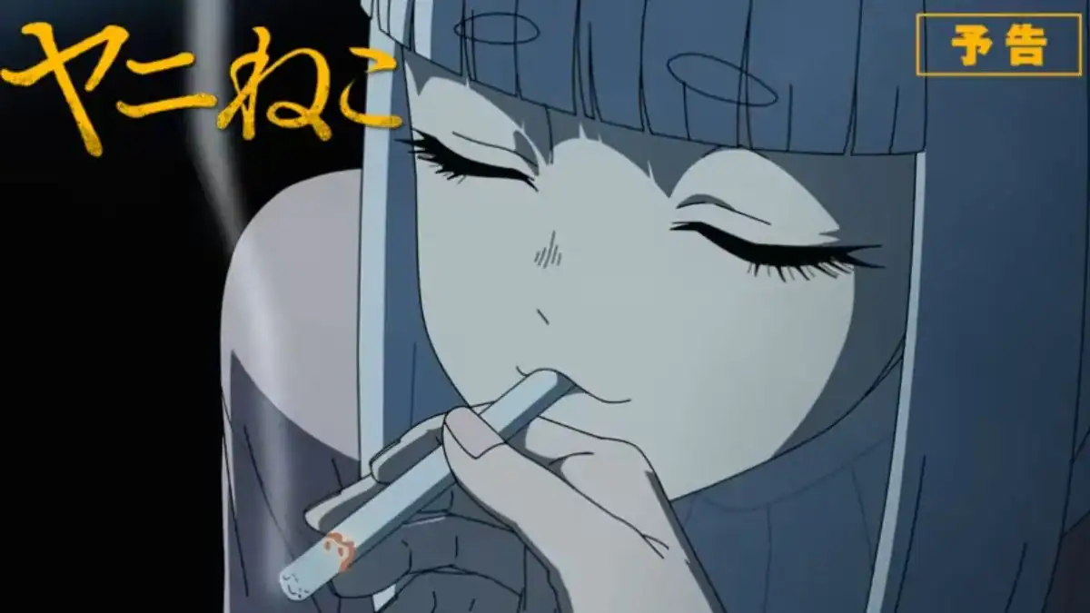 Chainsmoker Cat