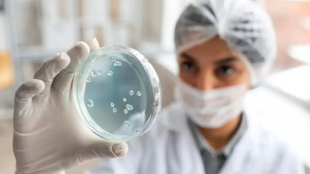 La evolución conservó intacto el código para activar genes durante 2.000 millones de años