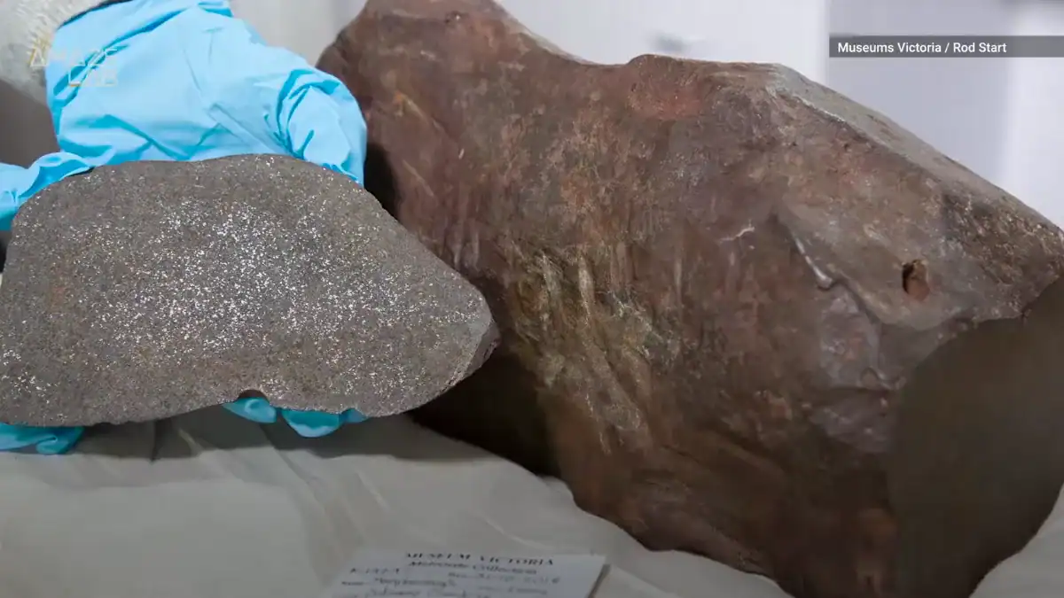 Buscaba oro y encontró algo mucho más antiguo: un meteorito de 4.600 millones de años