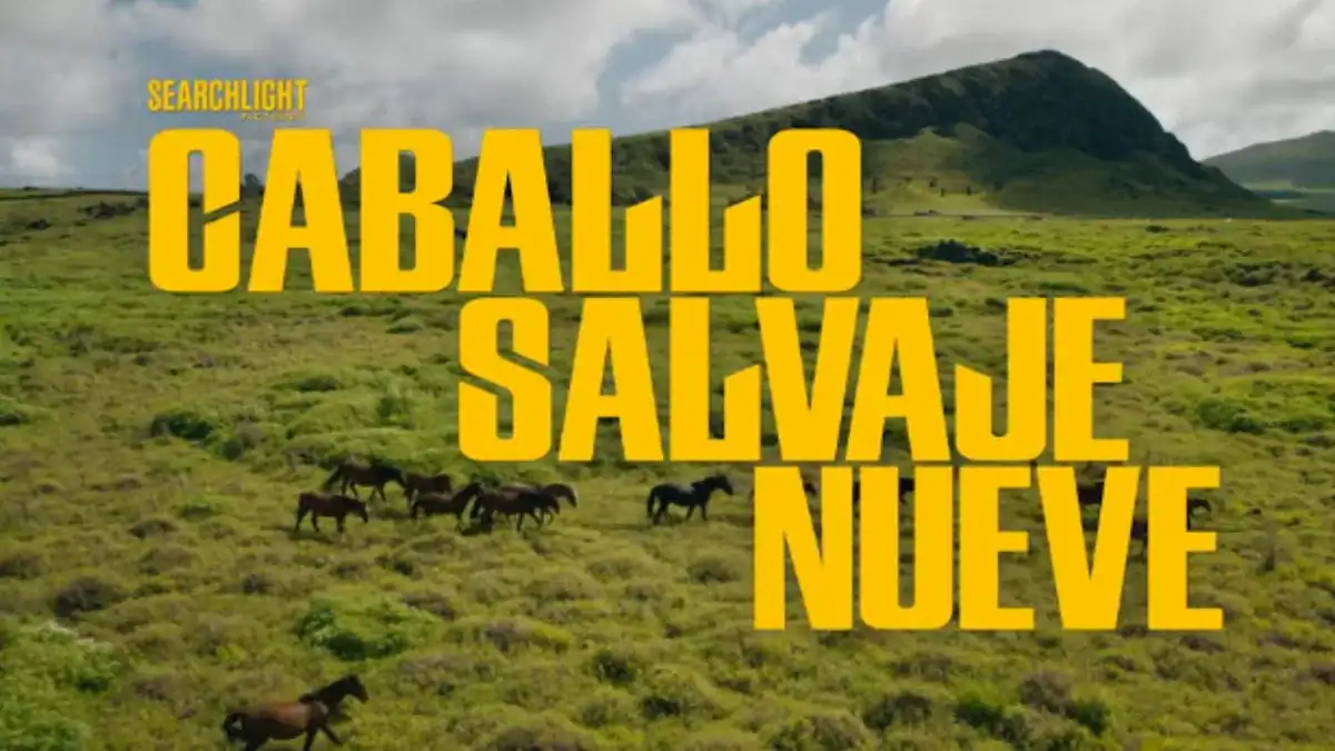 Espionaje, humor negro y conspiraciones en el Pacífico: descubre la propuesta de Caballo salvaje nueve