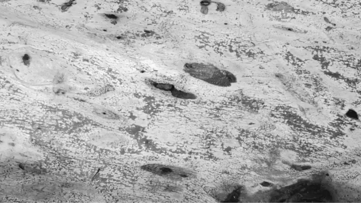 La Luna guarda huellas de explosiones estelares de hace millones de años: su suelo podría reconstruir la historia del Sistema Solar