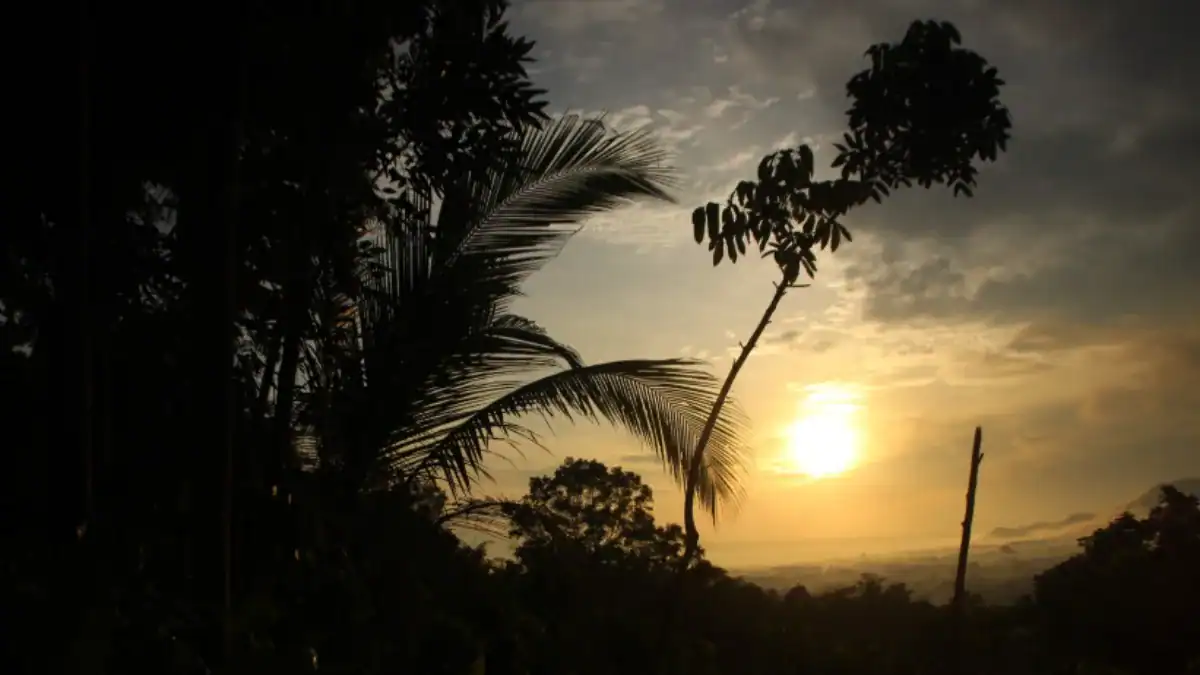Las noches tropicales podrían dispararse en las grandes ciudades: el problema no es solo dormir peor