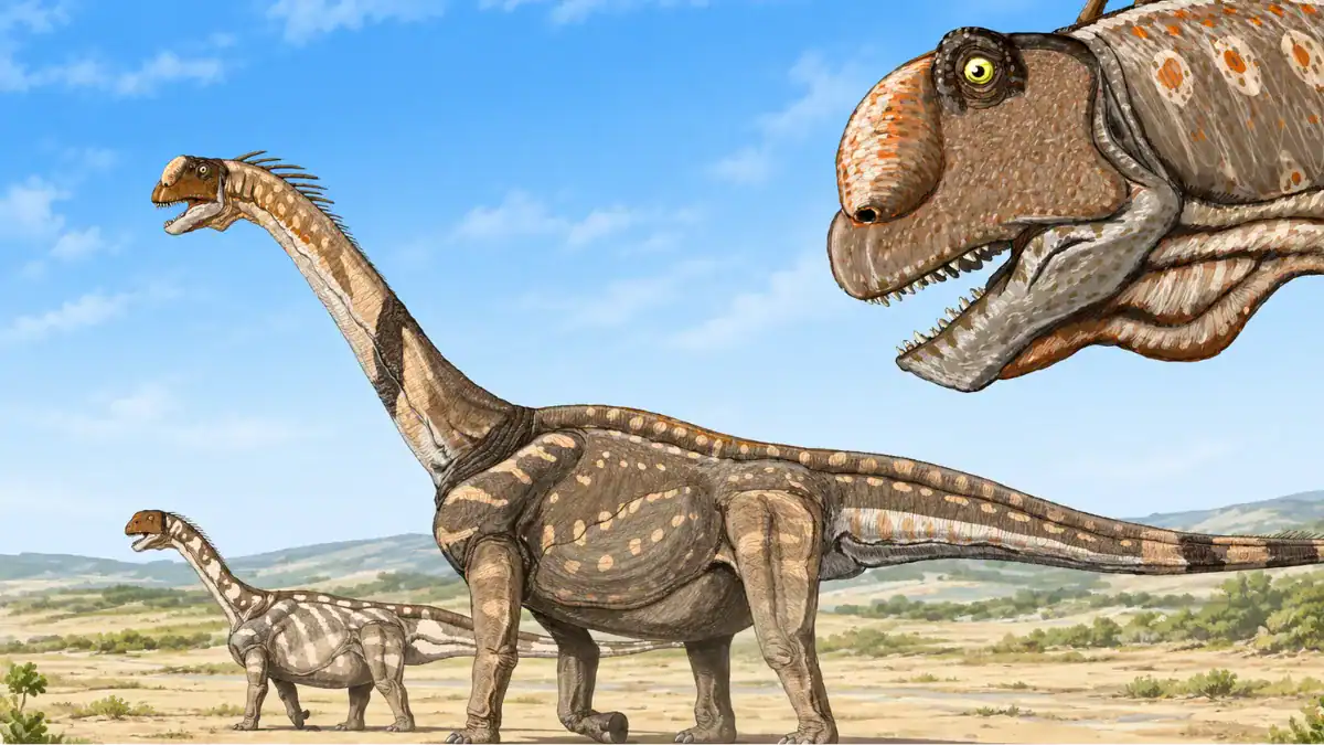 Durante años buscamos Diplodocus en Estados Unidos. Uno llevaba 150 millones de años enterrado en Teruel