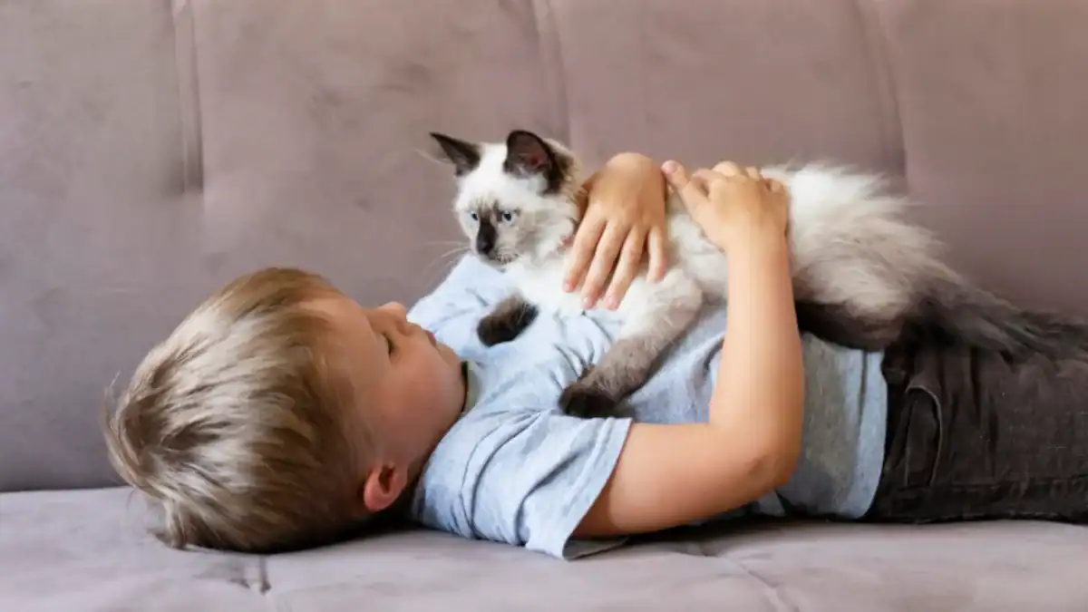 Un estudio relacionó tener gato con más problemas emocionales en niños. El dato tiene una letra pequeña importante