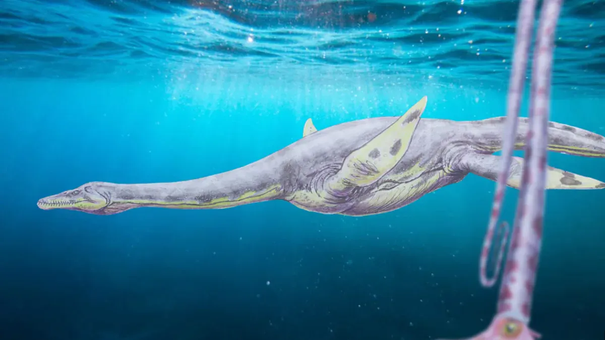 Descubren vómitos fosilizados del Jurásico que revelan cómo se alimentaban enormes reptiles marinos hace millones de años
