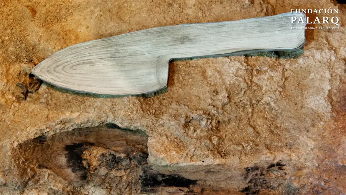 Descubren en Barcelona que los neandertales ya trabajaban la madera hace 40.000 años: hallaron casi 600 huellas de sus herramientas
