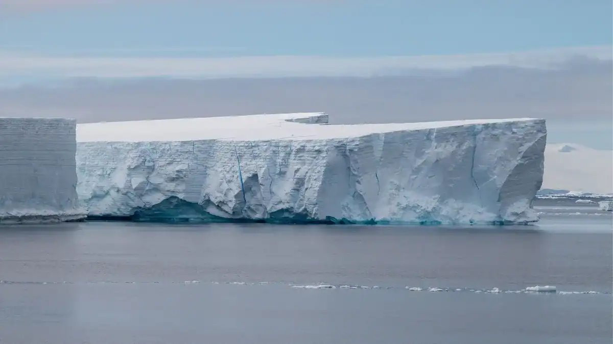 Un príncipe saudí gastó 10.000 dólares para transportar un iceberg de Alaska: su ambicioso plan era llevar agua dulce al desierto