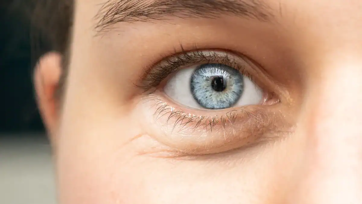 ¿Tus ojos envejecen más rápido que tú? Una IA puede descubrirlo con una fotografía
